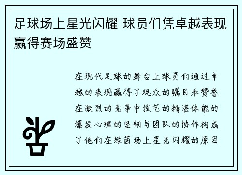 足球场上星光闪耀 球员们凭卓越表现赢得赛场盛赞
